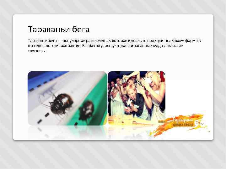 Тараканьи бега — популярное развлечение, которое идеально подходит к любому формату праздничного мероприятия. В