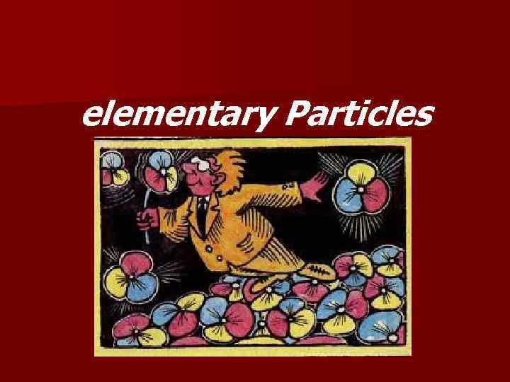 elementary Particles 