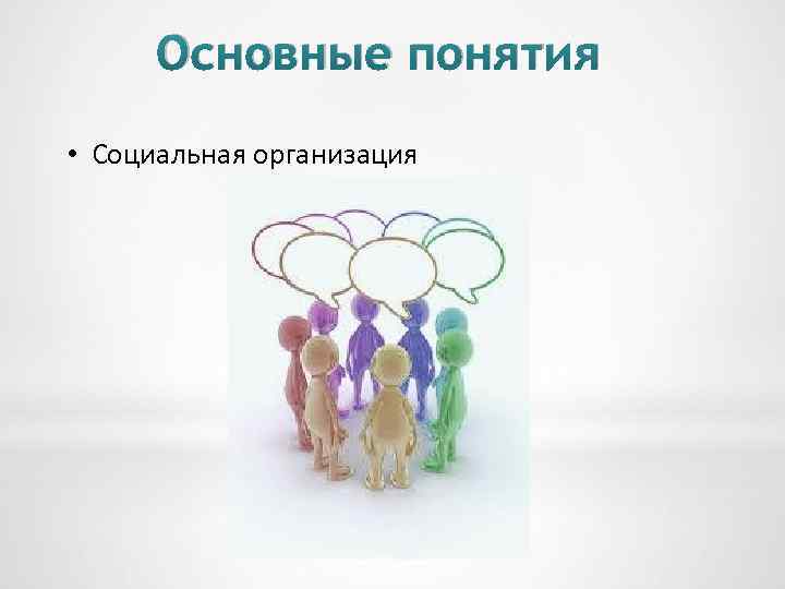 Основные понятия • Социальная организация 