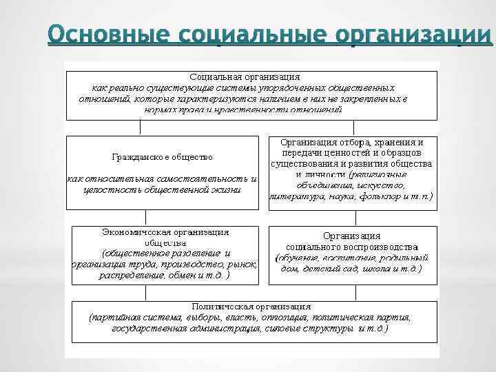 Основные социальные организации 