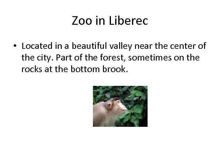Zoo in Liberec • Located in a beautiful valley near the center of the