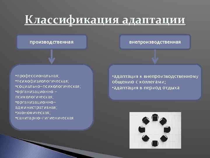 Схема классификации адаптаций