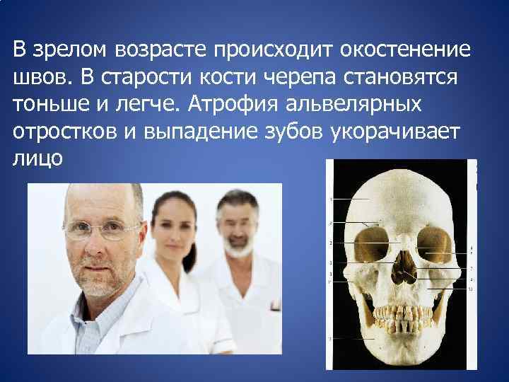 Признаком возрастных изменений костей является. Усыхание костей черепа с возрастом. Изменение костей черепа с возрастом. Старение костей черепа.