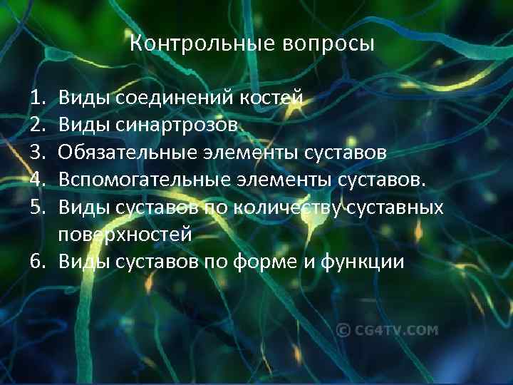 Контрольные вопросы 1. 2. 3. 4. 5. Виды соединений костей Виды синартрозов Обязательные элементы