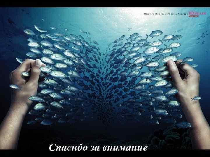  Спасибо за внимание 