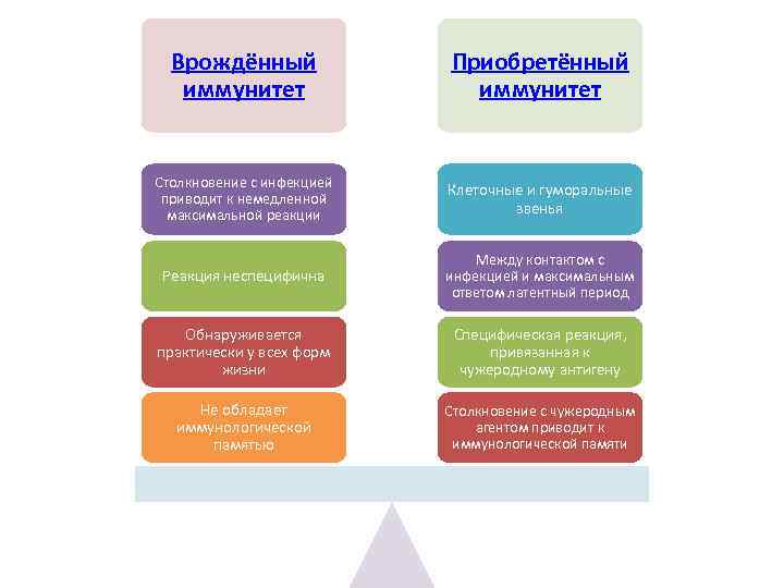 Врождённый иммунитет Приобретённый иммунитет Столкновение с инфекцией приводит к немедленной максимальной реакции Клеточные и