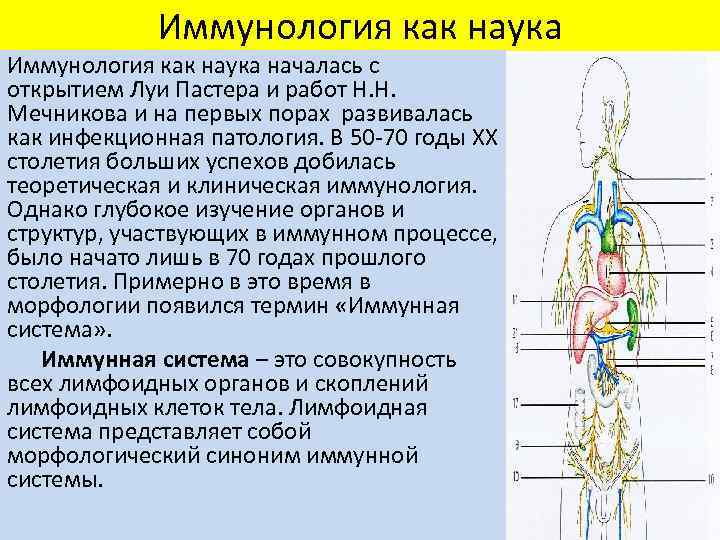 Иммунология как наука началась с открытием Луи Пастера и работ Н. Н. Мечникова и