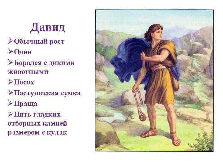 Давид ØОбычный рост ØОдин ØБоролся с дикими животными ØПосох ØПастушеская сумка ØПраща ØПять гладких