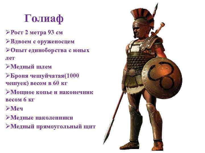 Голиаф ØРост 2 метра 93 см ØВдвоем с оруженосцем ØОпыт единоборства с юных лет