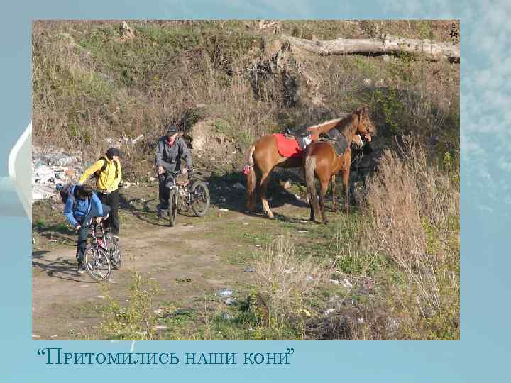 “ПРИТОМИЛИСЬ НАШИ КОНИ” 