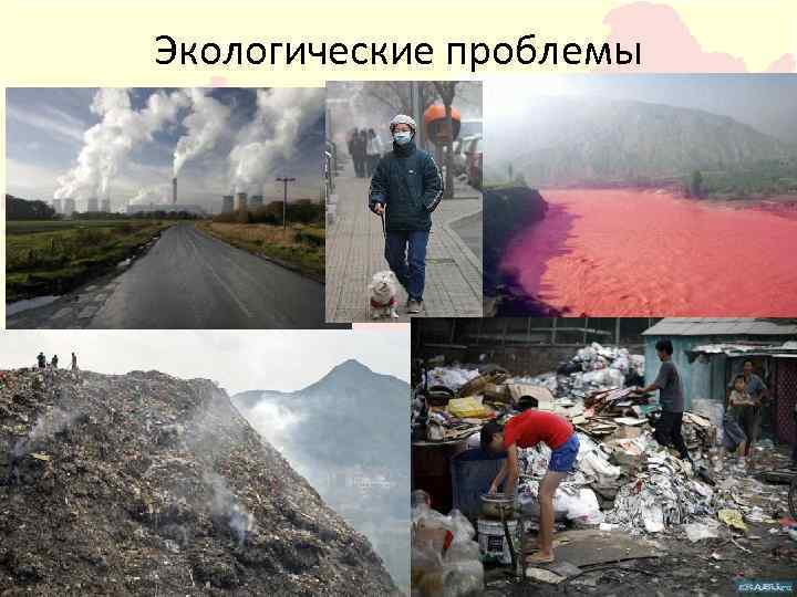 Экологические проблемы 