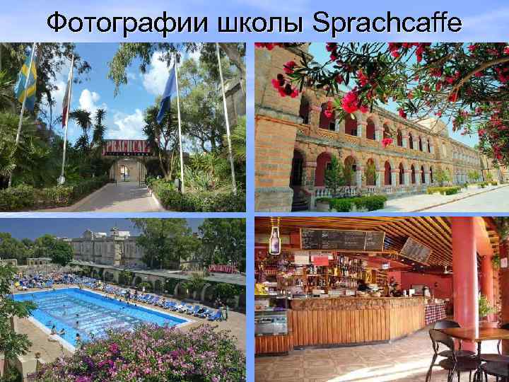 Фотографии школы Sprachcaffe 