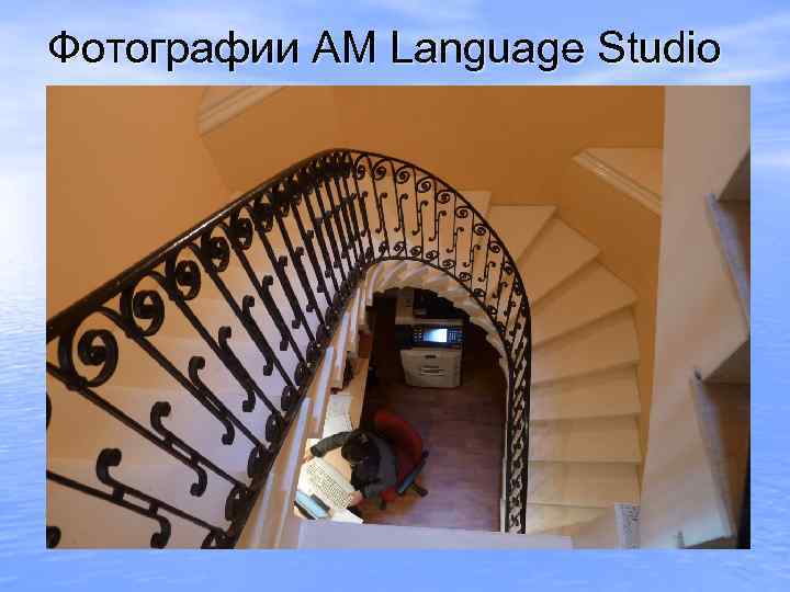Фотографии AM Language Studio 