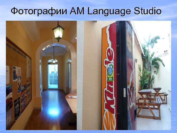 Фотографии AM Language Studio 