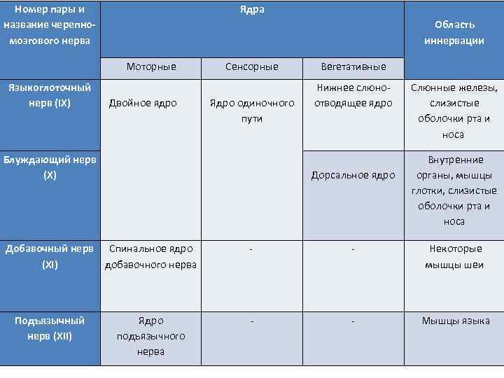 Номер пары и название черепномозгового нерва Ядра Область иннервации Моторные Языкоглоточный нерв (IX) Двойное