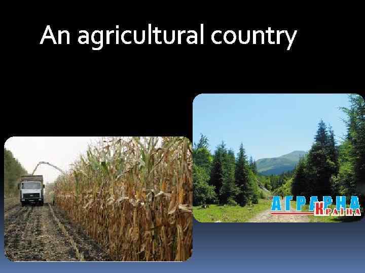 An agricultural country 