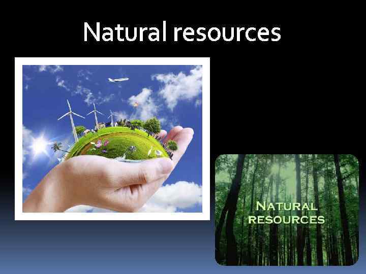 Natural resources 