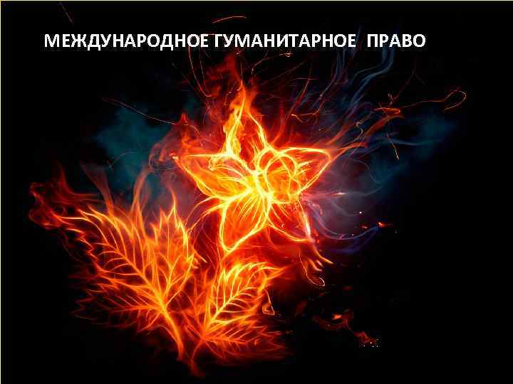 МЕЖДУНАРОДНОЕ ГУМАНИТАРНОЕ ПРАВО 