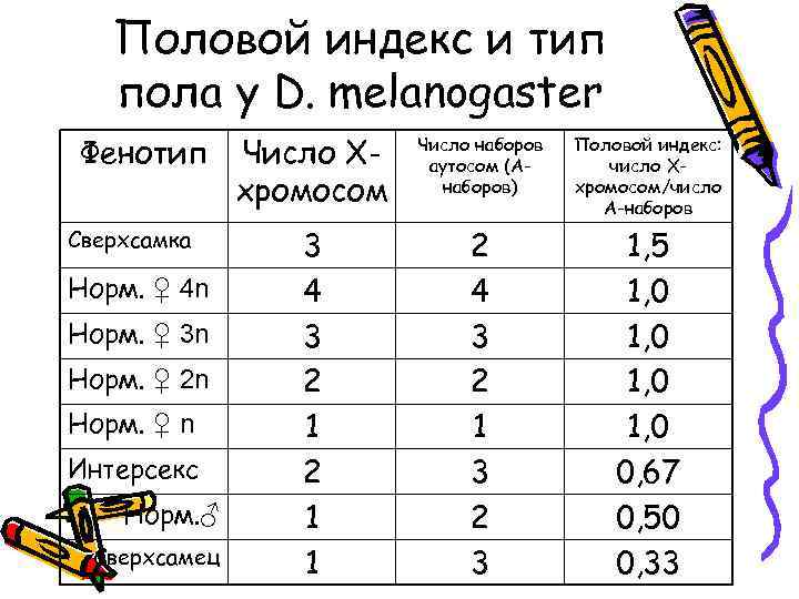 Полом индекс. Половой индекс в генетике. Индекс пола. Сопоставление полового индекса. Половой индекс у женщин.