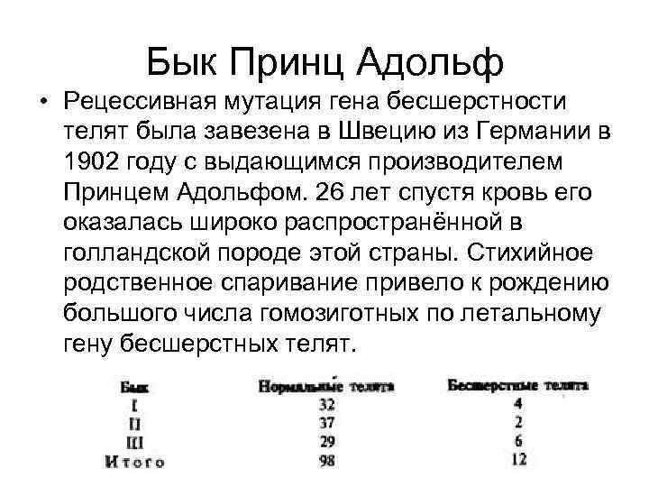 Бык Принц Адольф • Рецессивная мутация гена бесшерстности телят была завезена в Швецию из