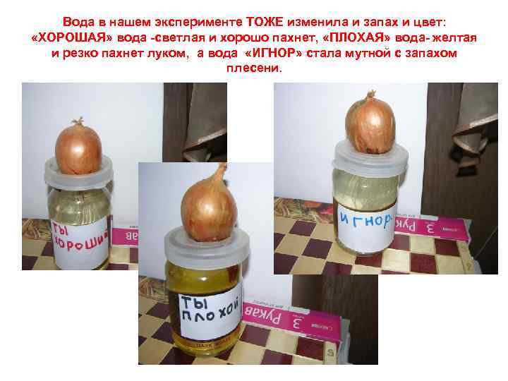 Вода в нашем эксперименте ТОЖЕ изменила и запах и цвет: «ХОРОШАЯ» вода -светлая и
