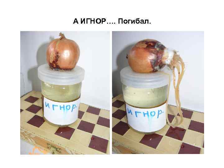 А ИГНОР…. Погибал. 