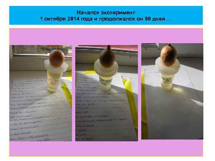 Начался эксперимент 1 октября 2014 года и продолжался он 90 дней…. 