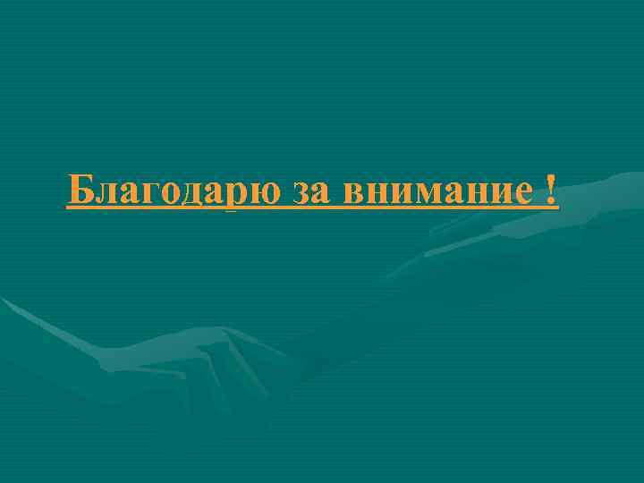 Благодарю за внимание ! 