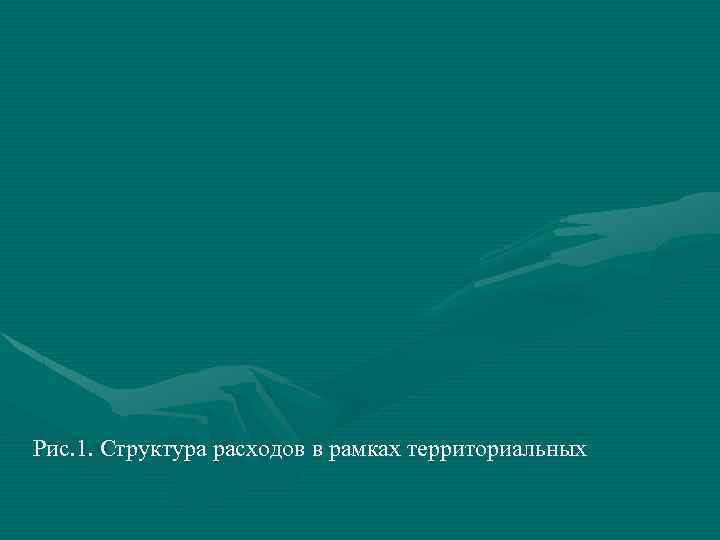 Рис. 1. Структура расходов в рамках территориальных 