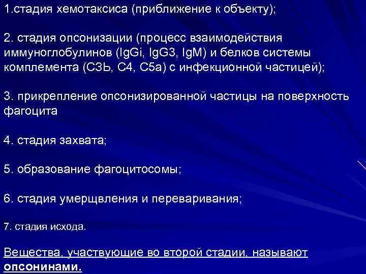 1. стадия хемотаксиса (приближение к объекту); 2. стадия опсонизации (процесс взаимодействия иммуноглобулинов (Ig. Gi,