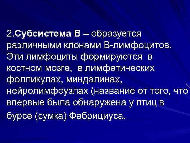 2. Субсистема В – образуется различными клонами В лимфоцитов. Эти лимфоциты формируются в костном