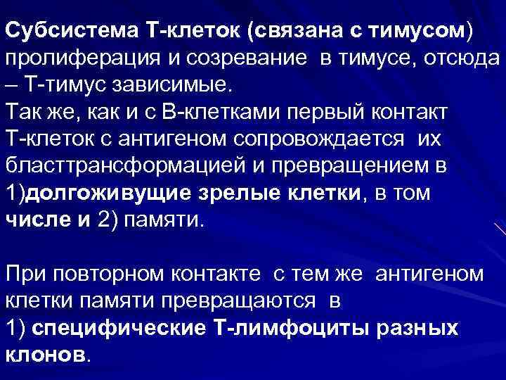 Субсистема Т-клеток (связана с тимусом) пролиферация и созревание в тимусе, отсюда – Т тимус