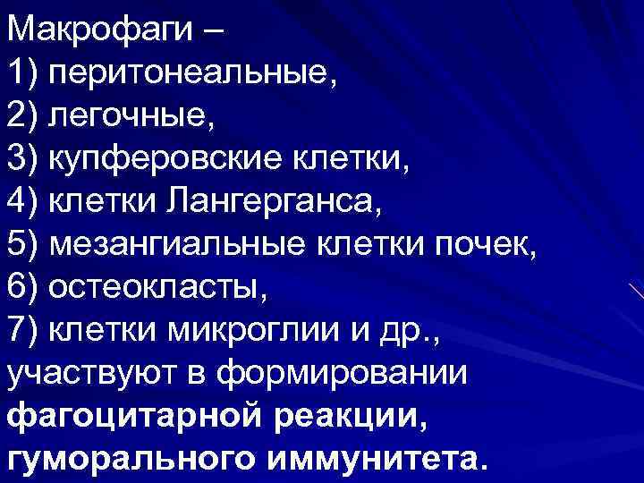 Макрофаги – 1) перитонеальные, 2) легочные, 3) купферовские клетки, 4) клетки Лангерганса, 5) мезангиальные