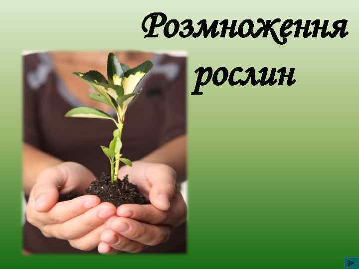 Розмноження рослин 