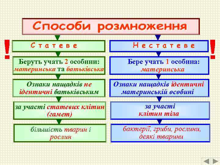 С т а т е в е Беруть учать 2 особини: материнська та батьківська