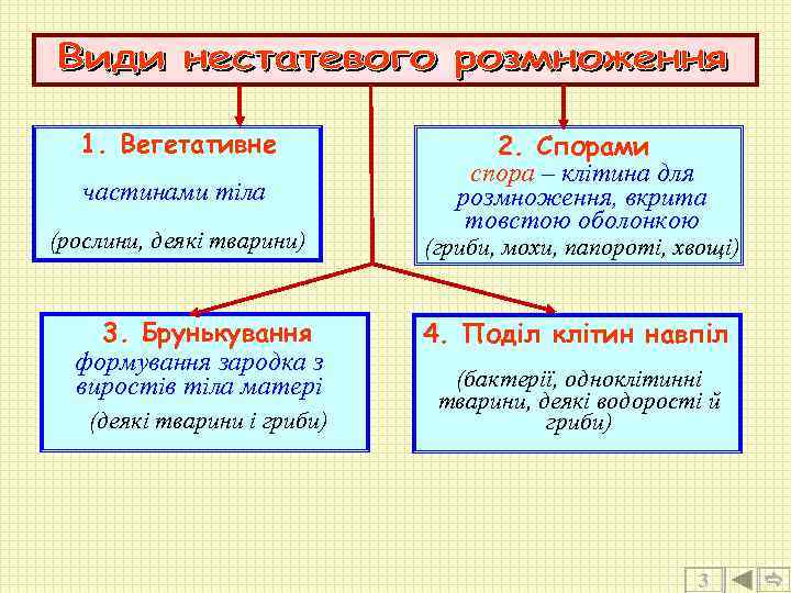 1. Вегетативне частинами тіла (рослини, деякі тварини) 3. Брунькування формування зародка з виростів тіла