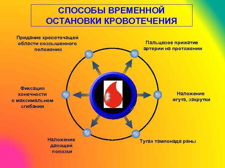 СПОСОБЫ ВРЕМЕННОЙ ОСТАНОВКИ КРОВОТЕЧЕНИЯ Придание кровоточащей области возвышенного положения Фиксация конечности в максимальном сгибании
