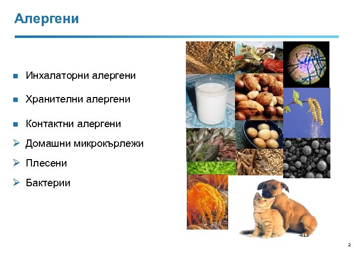 Алергени n Инхалаторни алергени n Хранителни алергени n Контактни алергени Ø Домашни микрокърлежи Ø