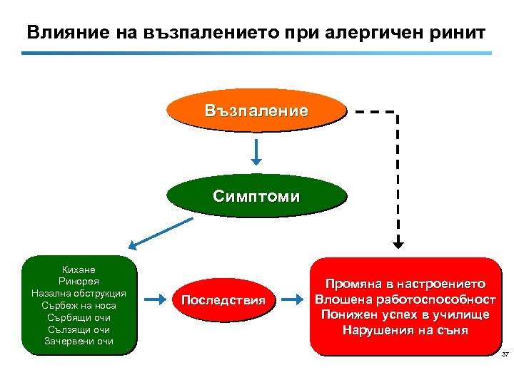 Влияние на възпалението при алергичен ринит Възпаление Симптоми Кихане Ринорея Назална обструкция Сърбеж на