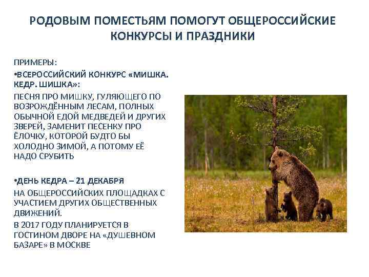 РОДОВЫМ ПОМЕСТЬЯМ ПОМОГУТ ОБЩЕРОССИЙСКИЕ КОНКУРСЫ И ПРАЗДНИКИ ПРИМЕРЫ: • ВСЕРОССИЙСКИЙ КОНКУРС «МИШКА. КЕДР. ШИШКА»