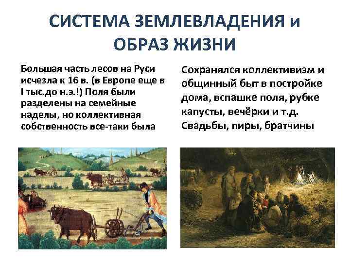 СИСТЕМА ЗЕМЛЕВЛАДЕНИЯ и ОБРАЗ ЖИЗНИ Большая часть лесов на Руси исчезла к 16 в.