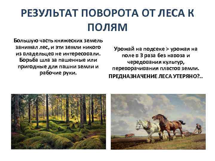 РЕЗУЛЬТАТ ПОВОРОТА ОТ ЛЕСА К ПОЛЯМ Большую часть княжеских земель занимал лес, и эти