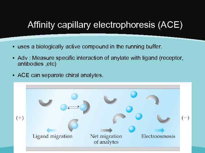 Affinity capillary electrophoresis (ACE) ▪ uses a biologically active compound in the running buffer.
