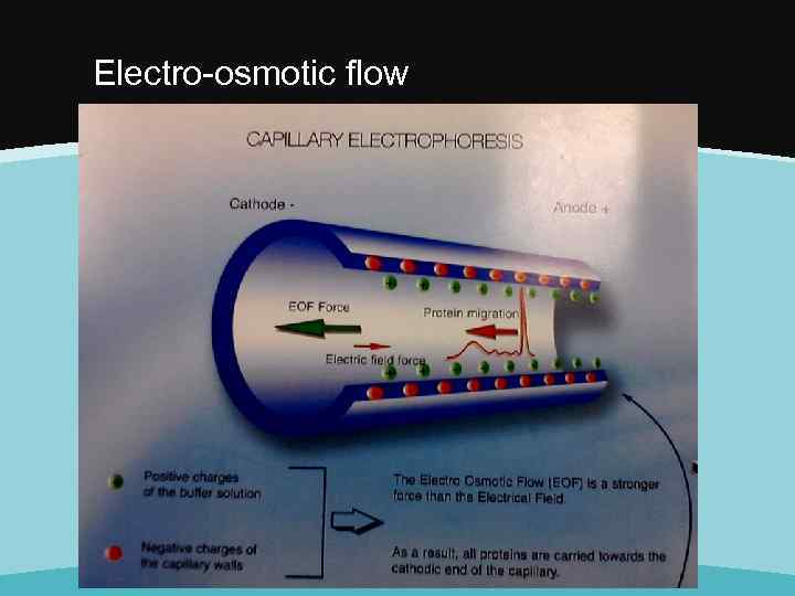 Electro-osmotic flow 