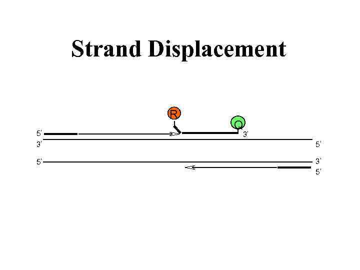 Strand Displacement R 5 3 5 Q 3 5 