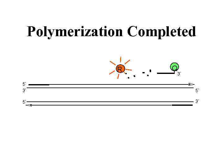 Polymerization Completed R Q 3 5 5 3 