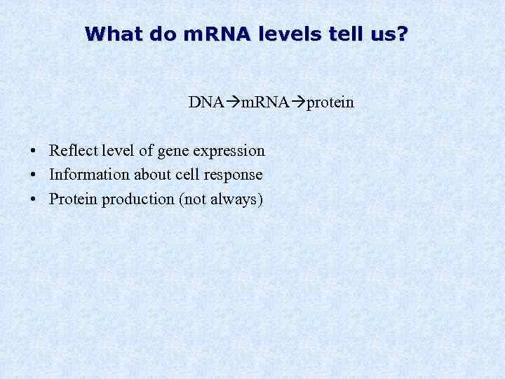 What do m. RNA levels tell us? DNA m. RNA protein • Reflect level