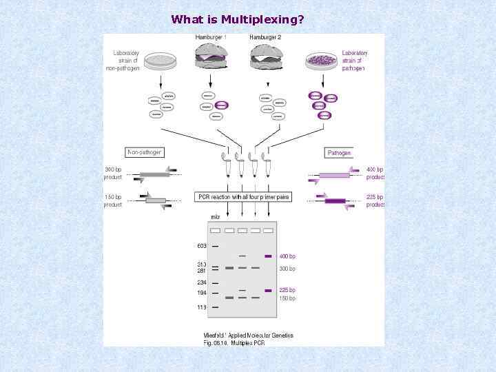 What is Multiplexing? 