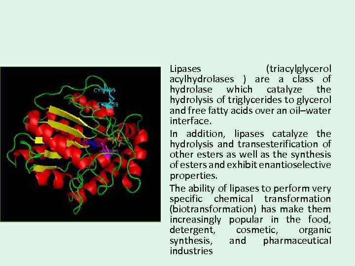  • Lipases (triacylglycerol acylhydrolases ) are a class of hydrolase which catalyze the