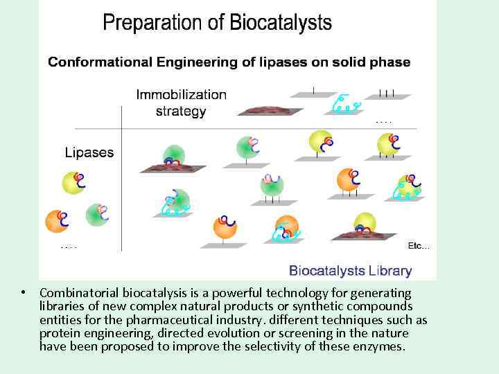  • Combinatorial biocatalysis is a powerful technology for generating libraries of new complex